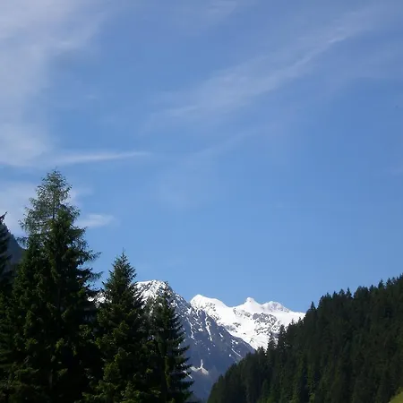 Auen
