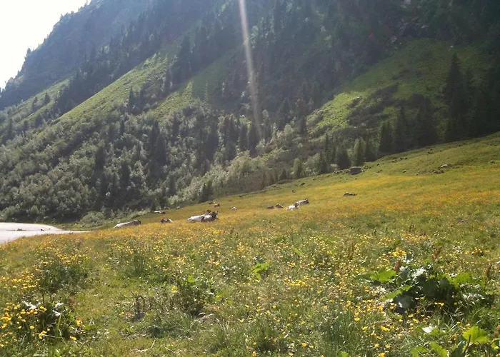 Landhaus Auen * Neustift im Stubaital