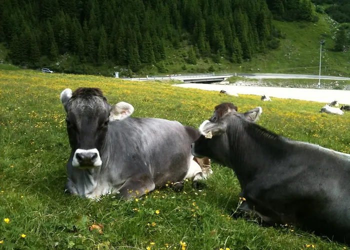 Lägenhet Landhaus Auen *